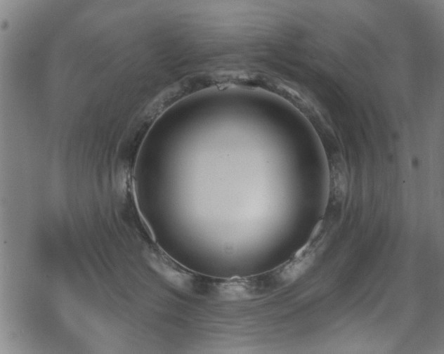 X0000071380574200606261416