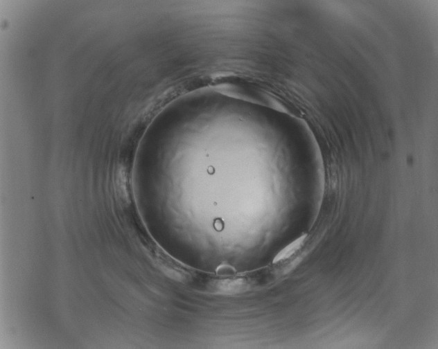 X0000071380575200606261416