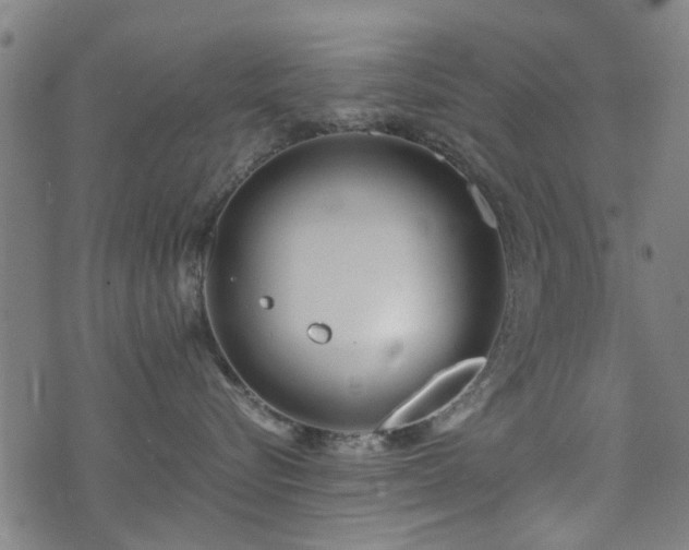 X0000071380576200606261416