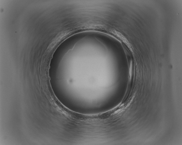 X0000071380577200606261416