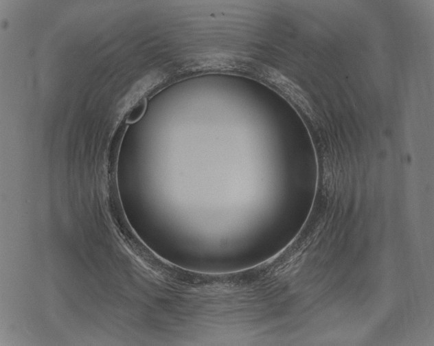 X0000071380578200606261415