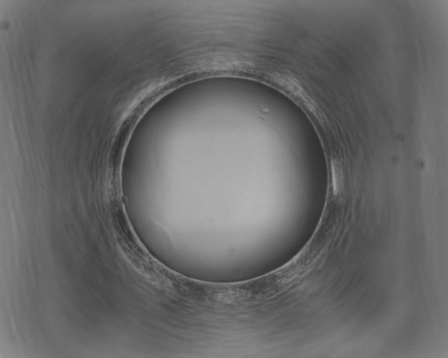 X0000071380579200606261415