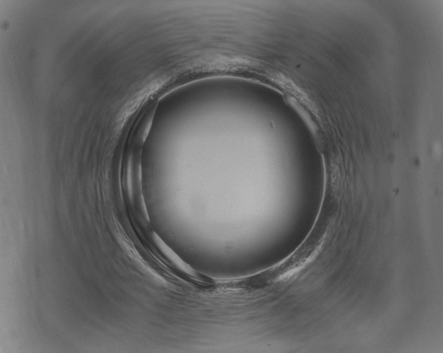 X0000071380581200606261415