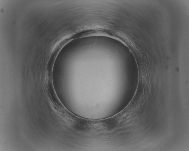 X0000071380583200606261415