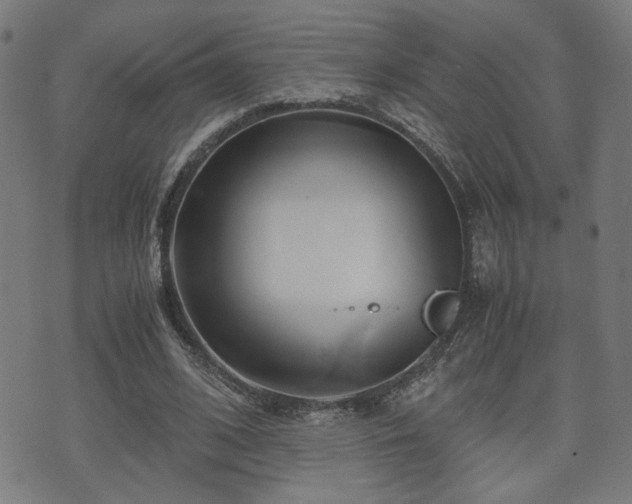 X0000071380584200606261415