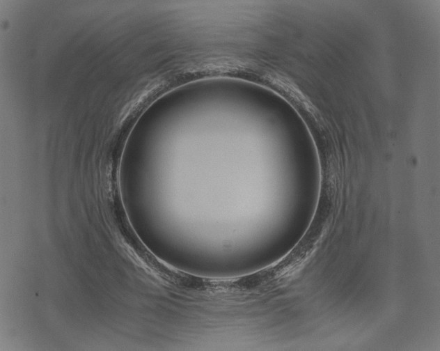 X0000071380585200606261415