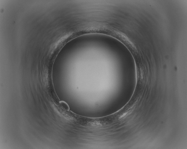 X0000071380588200606261415