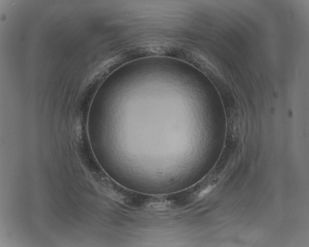 X0000071380595200606261415