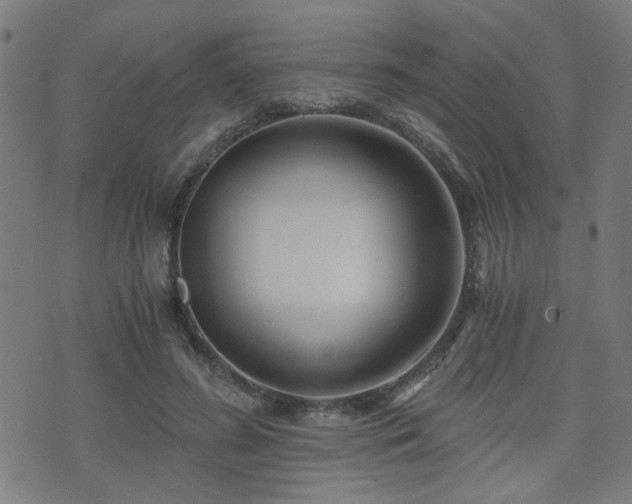 X0000071380596200606261415