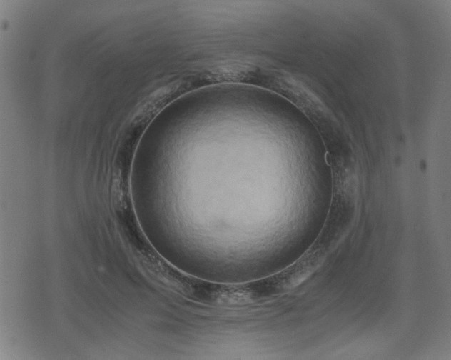 X0000071380599200606261415