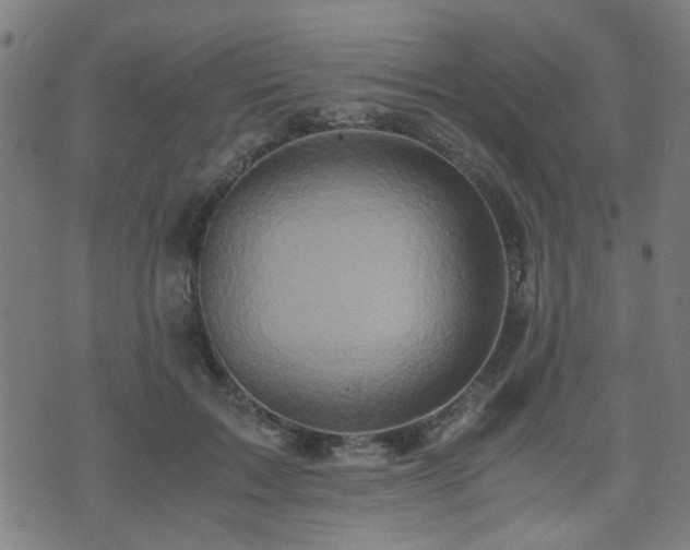 X0000071380603200606261415