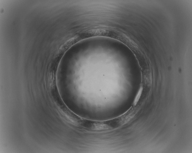 X0000071380605200606261415