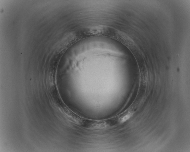 X0000071380606200606261415