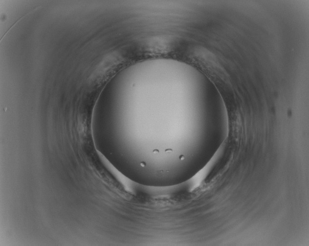 X0000071380608200606261415