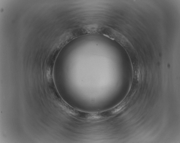 X0000071380610200606261415