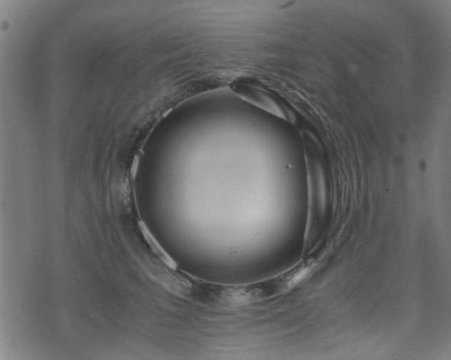 X0000071380613200606261415