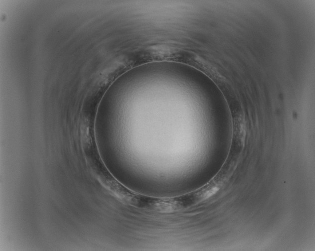 X0000071380615200606261415