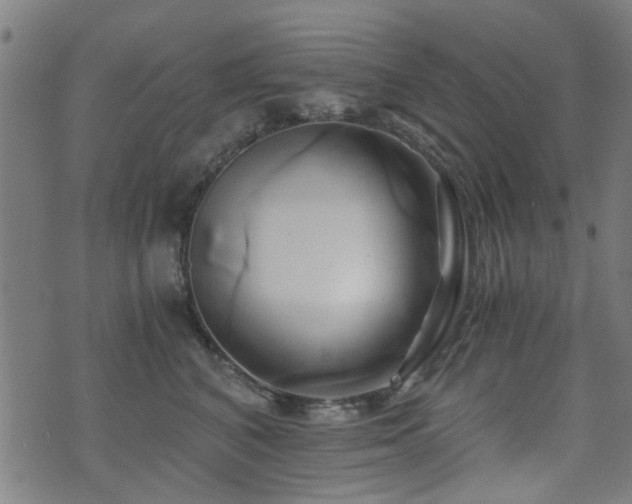 X0000071380616200606261415