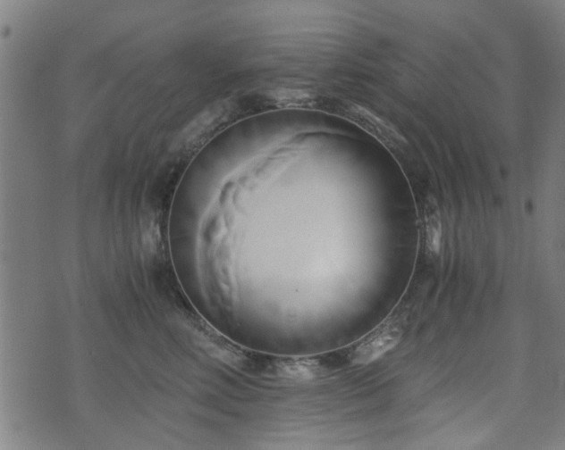 X0000071380618200606261415