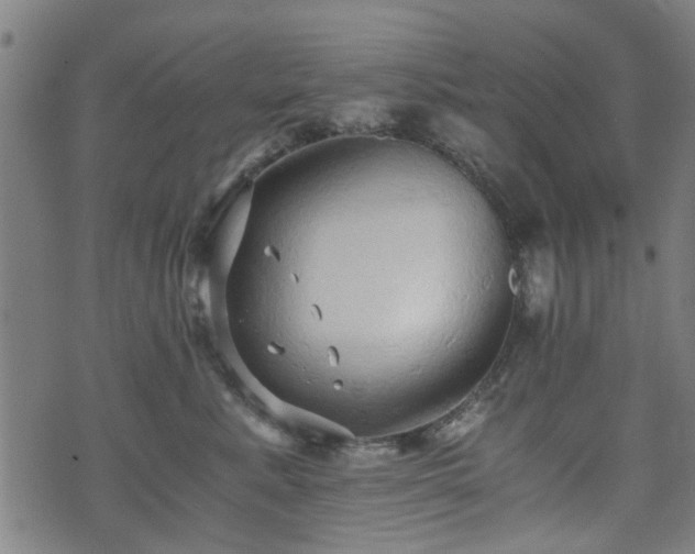 X0000071380619200606261415