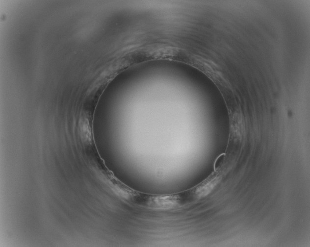 X0000071380622200606261415