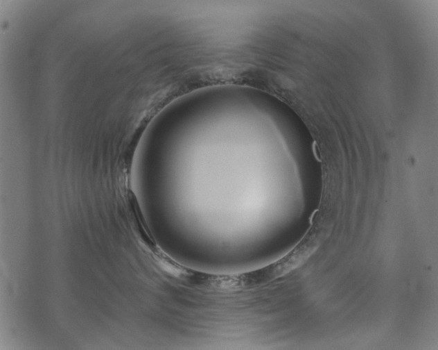 X0000071380624200606261415