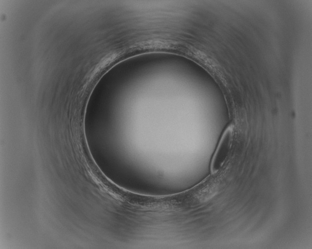 X0000071380625200606261414