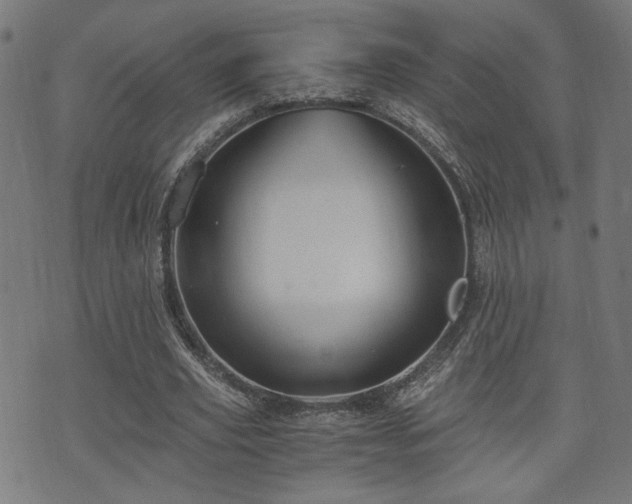 X0000071380629200606261414