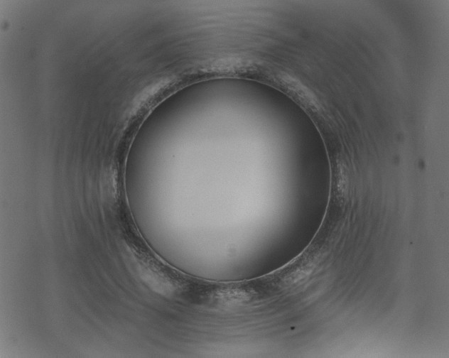 X0000071380636200606261414