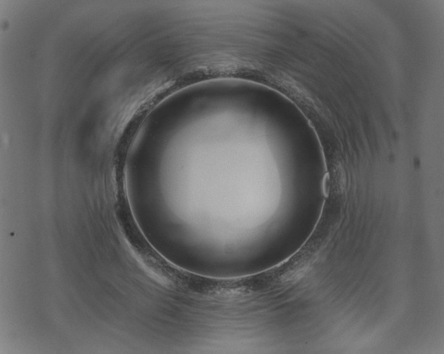 X0000071380638200606261414