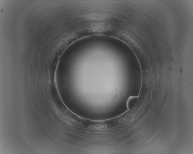 X0000071380639200606261414