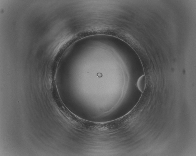 X0000071380640200606261414