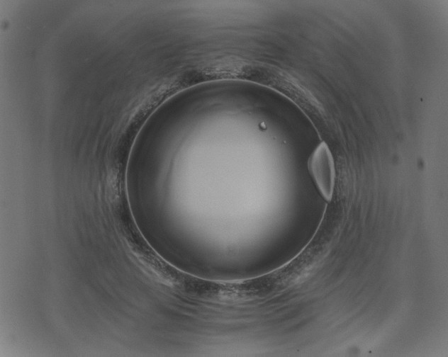 X0000071380641200606261414