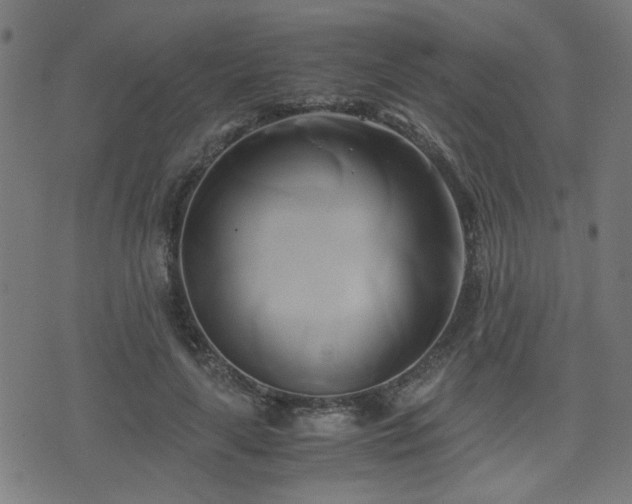 X0000071380643200606261414