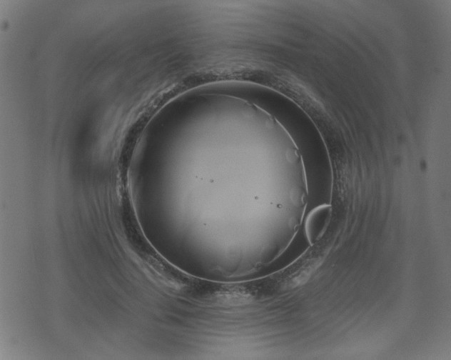 X0000071380644200606261414