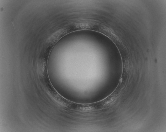 X0000071380645200606261414