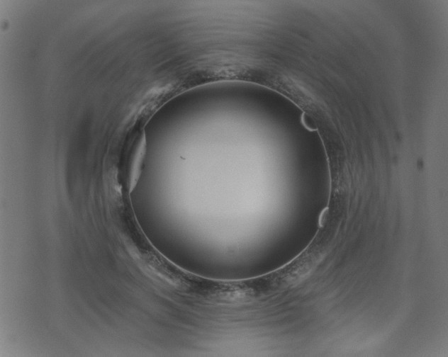 X0000071380646200606261414