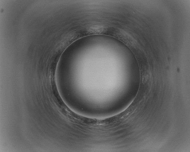 X0000071380647200606261414