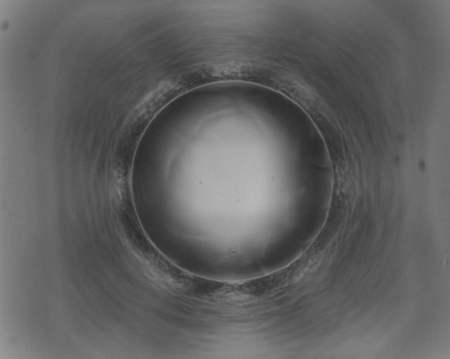 X0000071380648200606261414