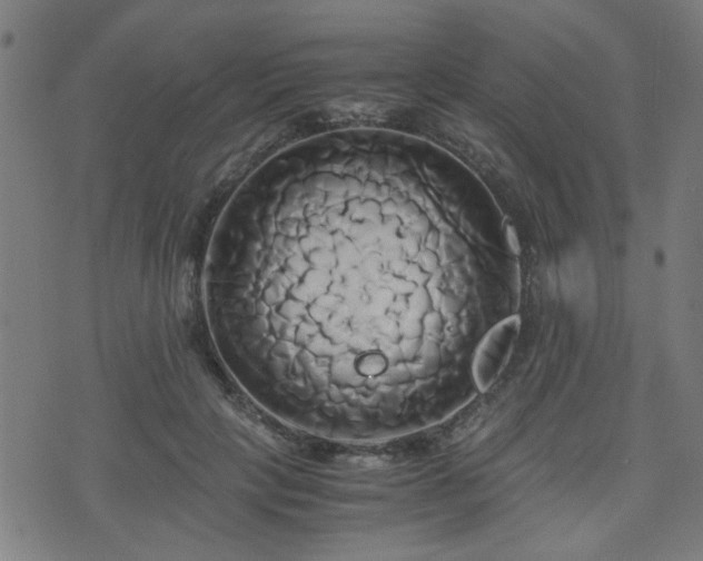 X0000071380649200606261414