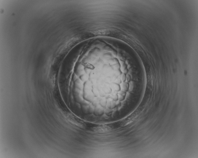 X0000071380652200606261414