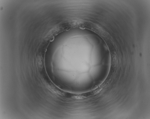 X0000071380654200606261414