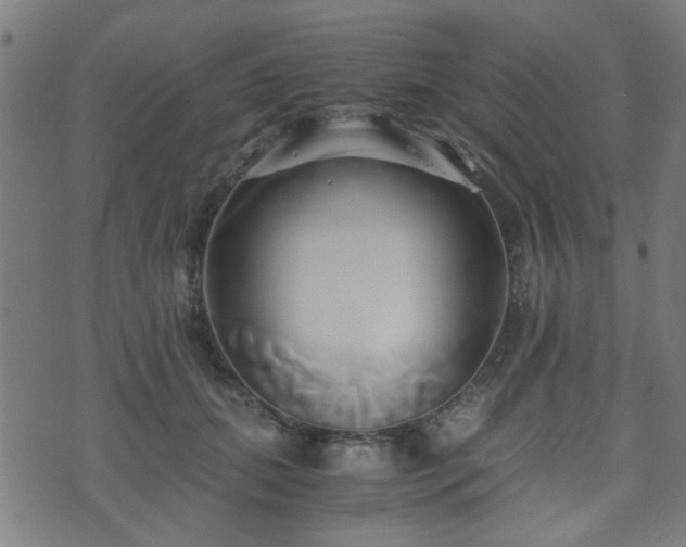 X0000071380655200606261414