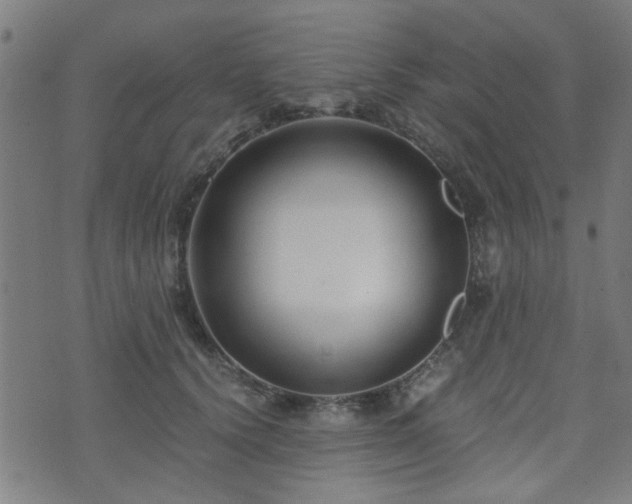 X0000071380656200606261414