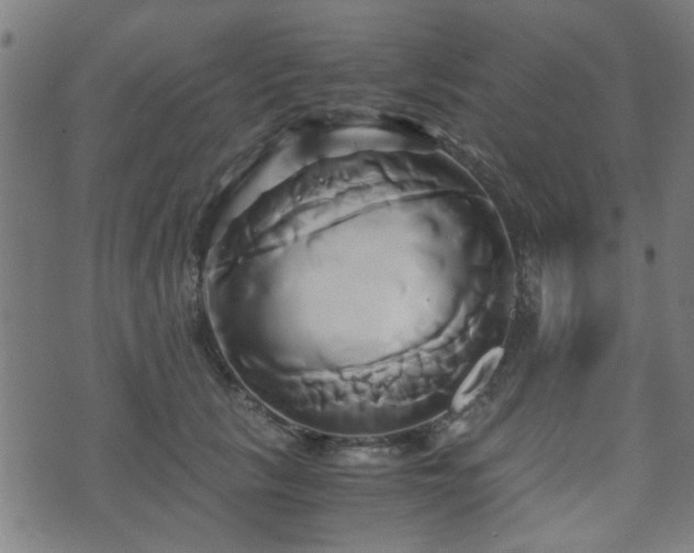 X0000071380657200606261414