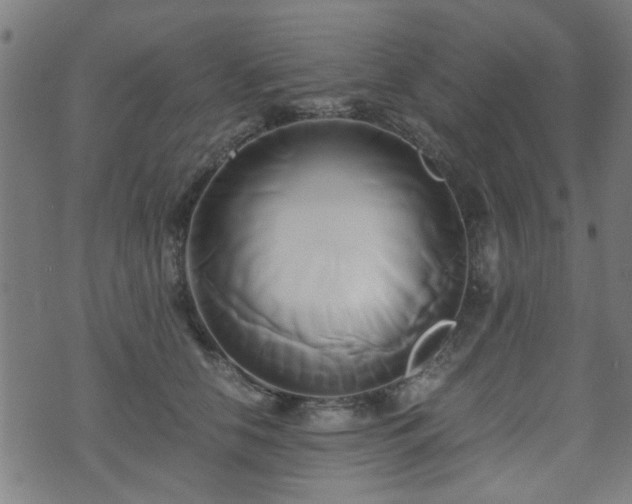 X0000071380658200606261414