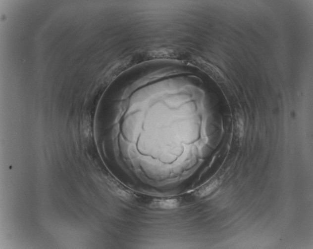 X0000071380665200606261415