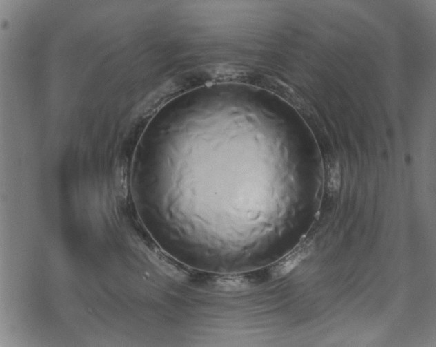 X0000071380666200606261415