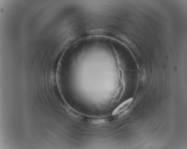 X0000071380669200606261415