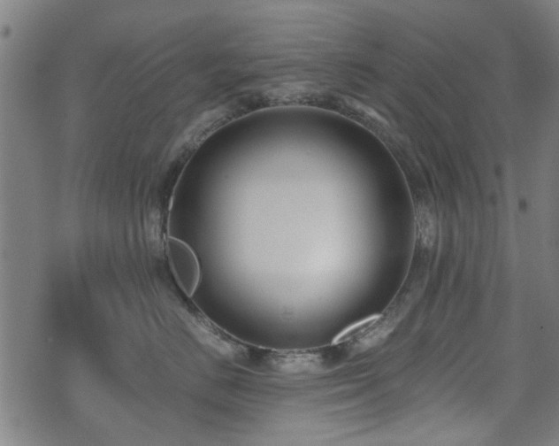 X0000071380670200606261415